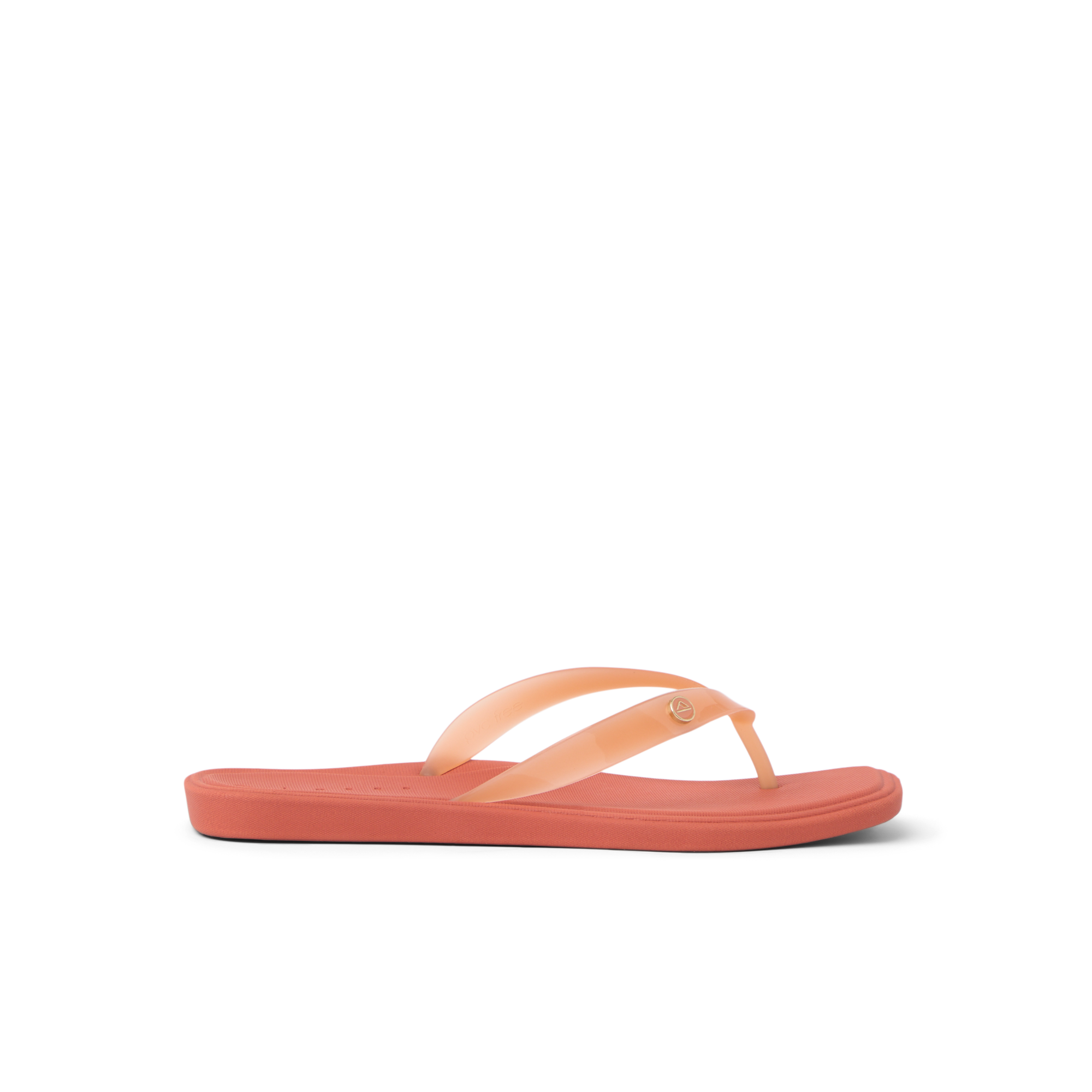 Solaye - Image 8