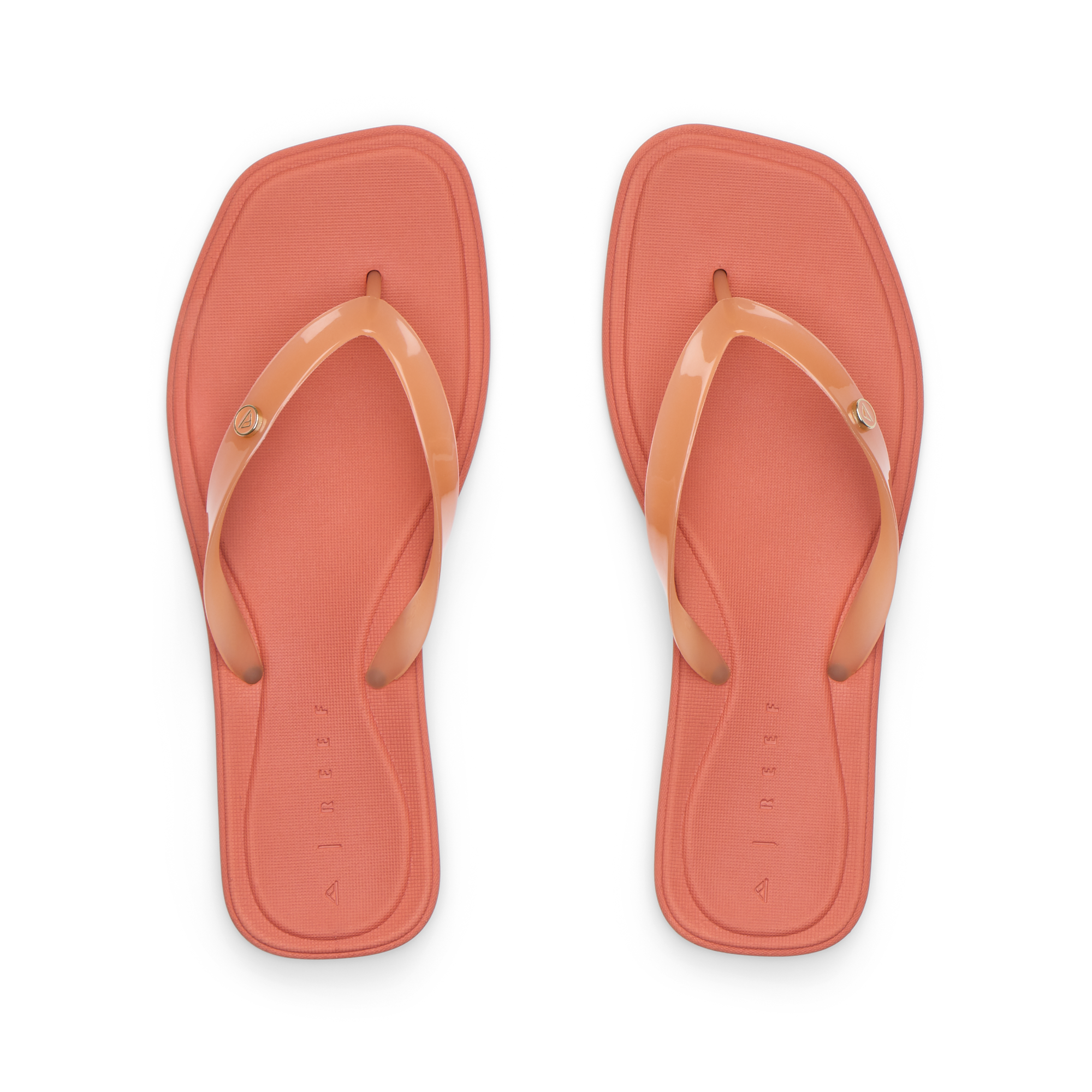 Solaye - Image 4